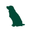 大型犬OK