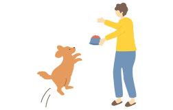わんちゃんご飯あり