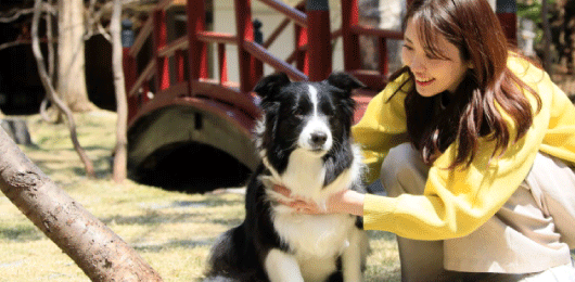 栃木・ゆるり奥日光 with DOGS