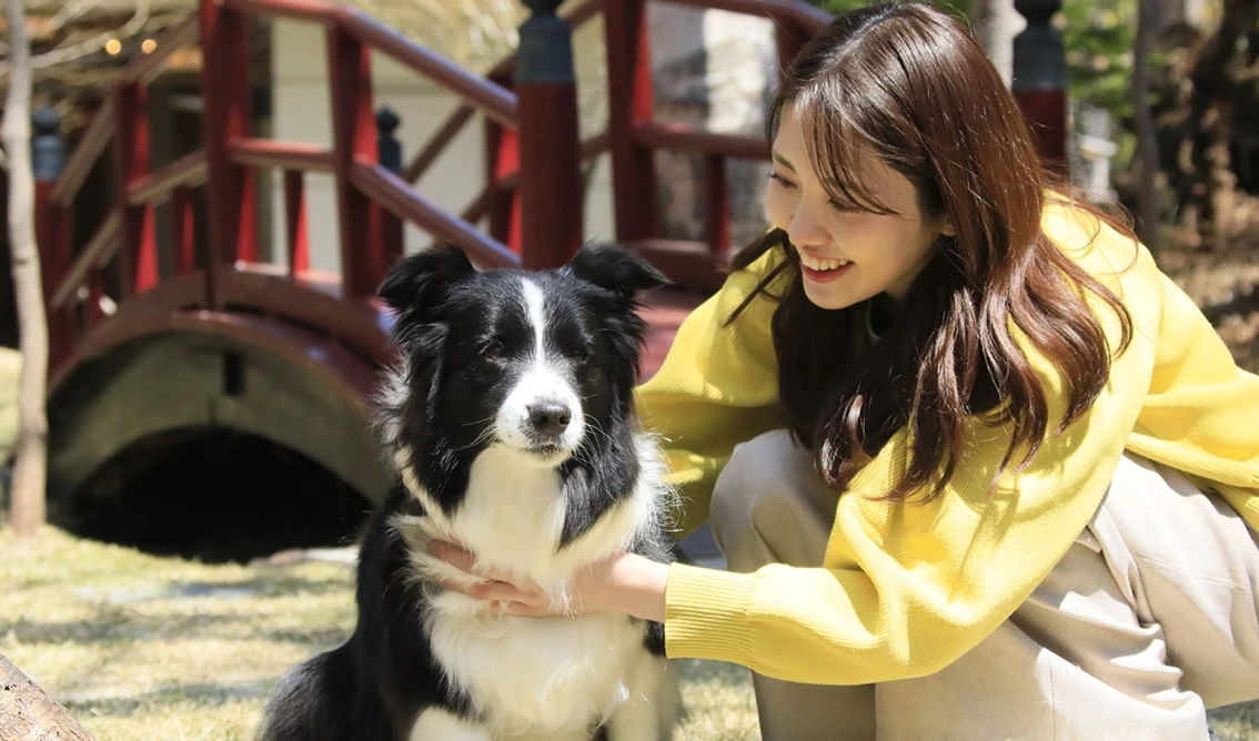 栃木・奥日光 ゆるり奥日光 with DOGS