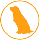 ペット可