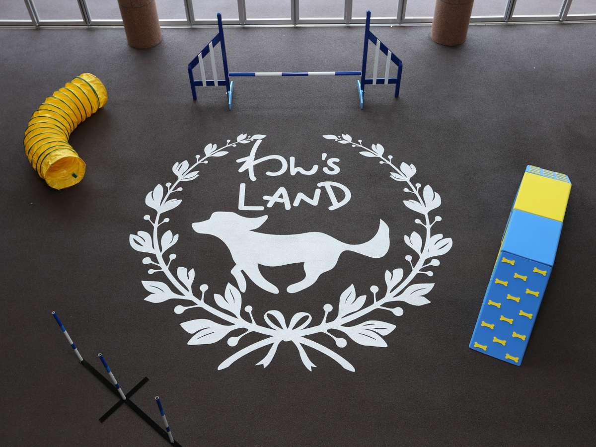 屋内ドッグラン