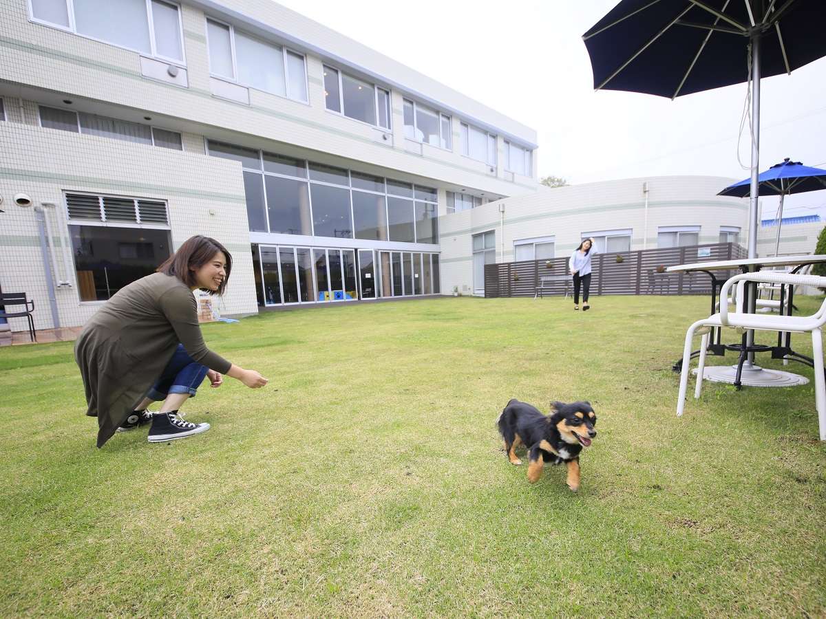 子犬でも楽しく走り回れる安心の広さです！