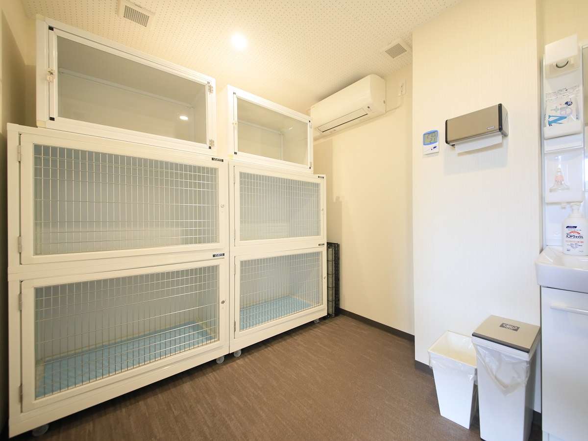 お留守番ルームは、明るく清潔な雰囲気。