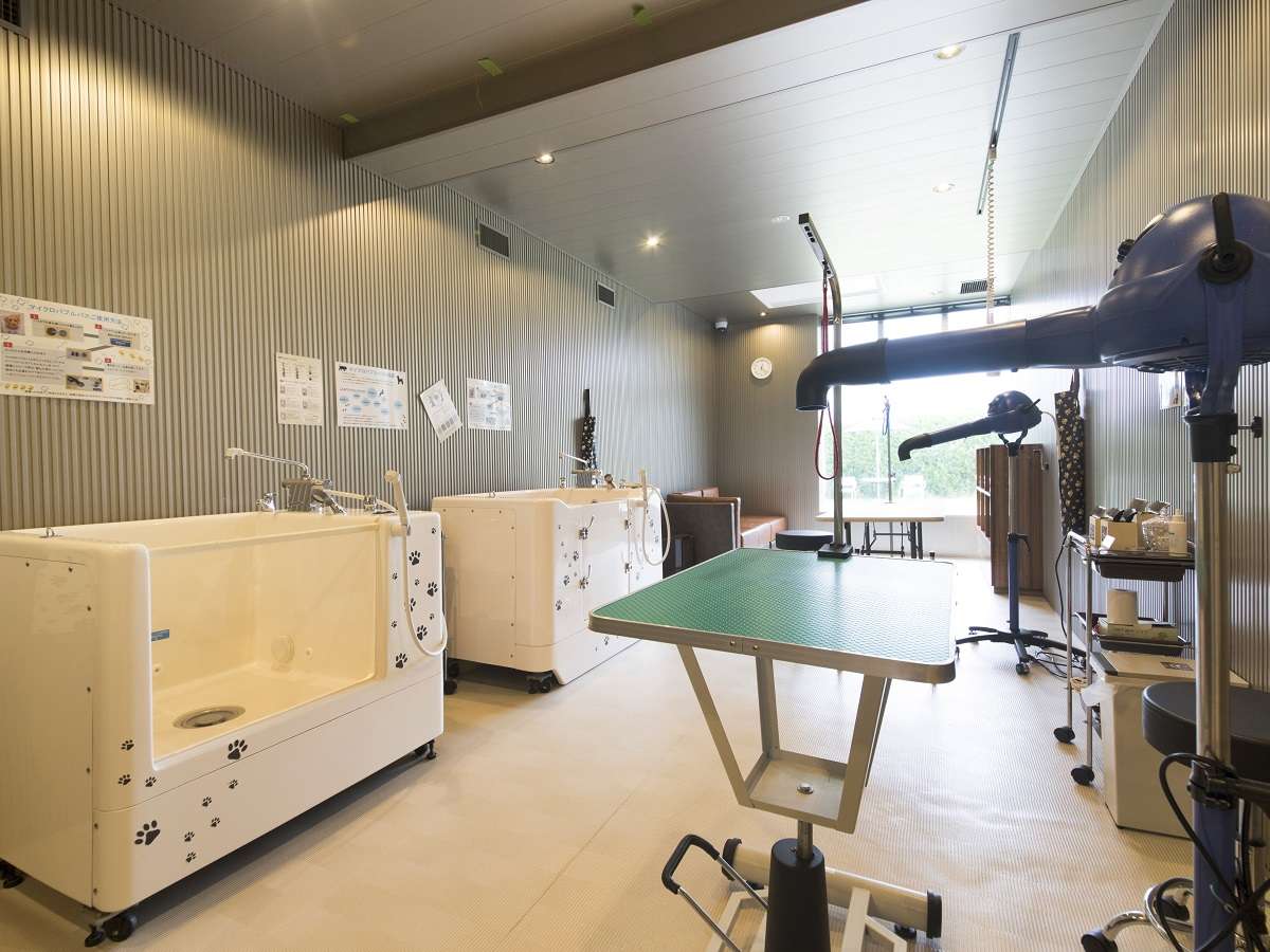 トリミングルームには本格的な設備が整っております。