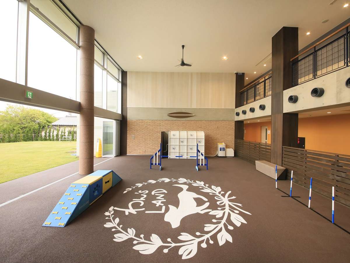 窓が大きく、開放的な雰囲気です。