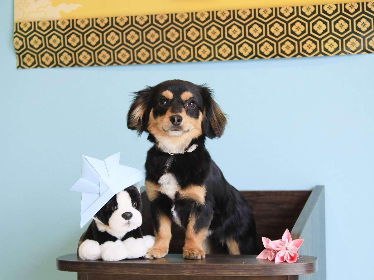 館内にはお写真が取れるスポットがいくつかございます。