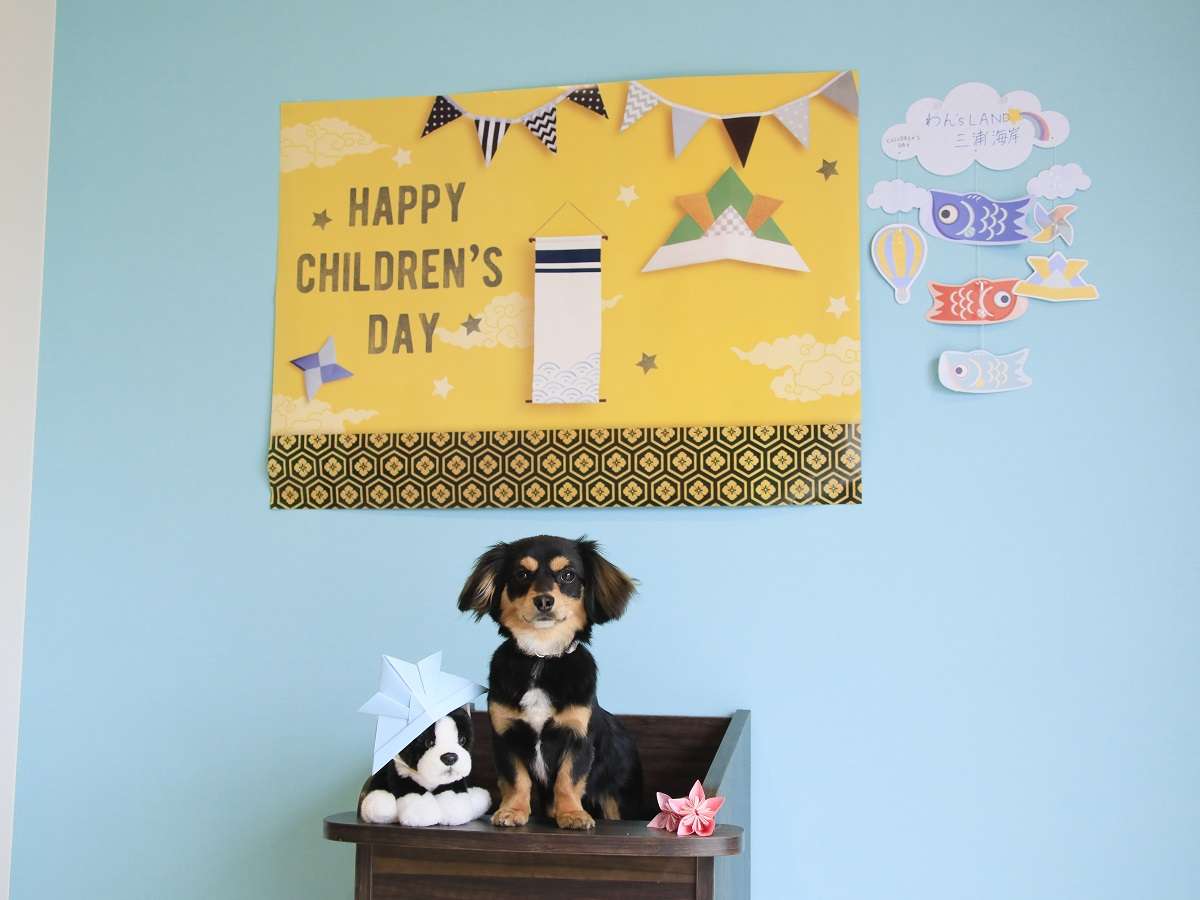 季節ごとにかわいい飾りをご用意！記念撮影してくださいね♪(写真はこどもの日前後)