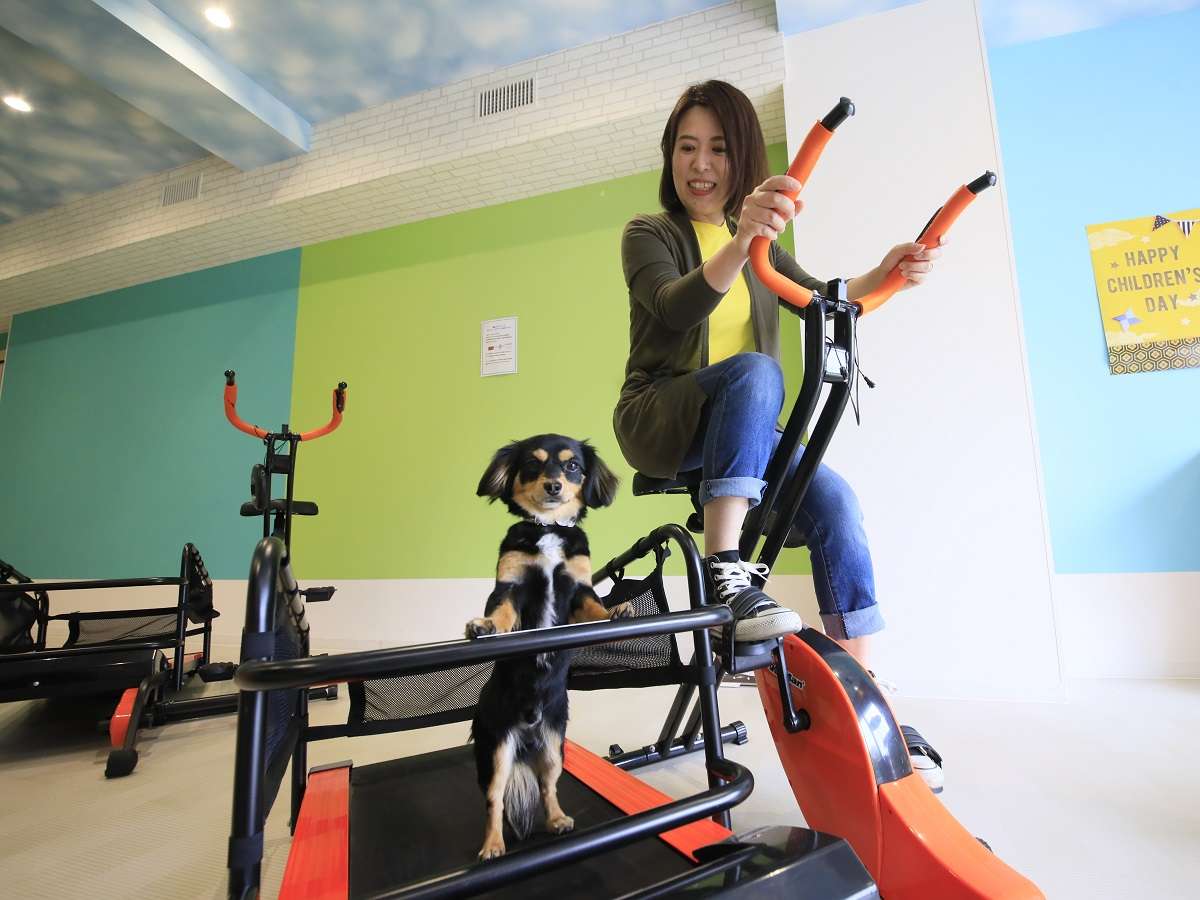 わんちゃんと一緒にフィットネス！自転車をこぐとわんちゃん用のベルトが動きます。