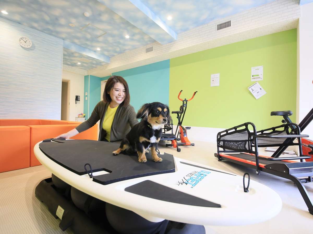 三浦海岸ならでは！サーフボードの体験ができます♪