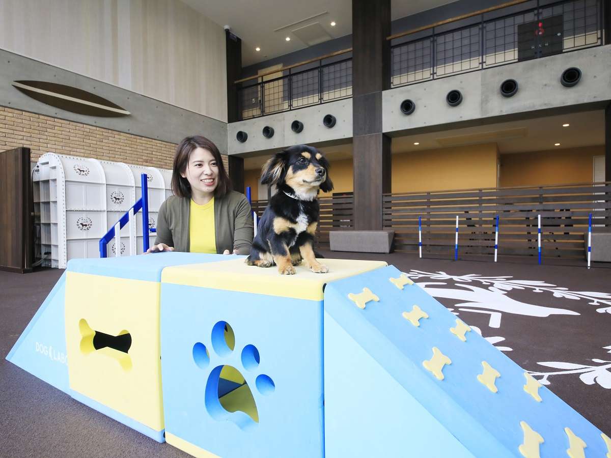 ドッグランの遊具は小型犬でも遊べるサイズをご用意♪