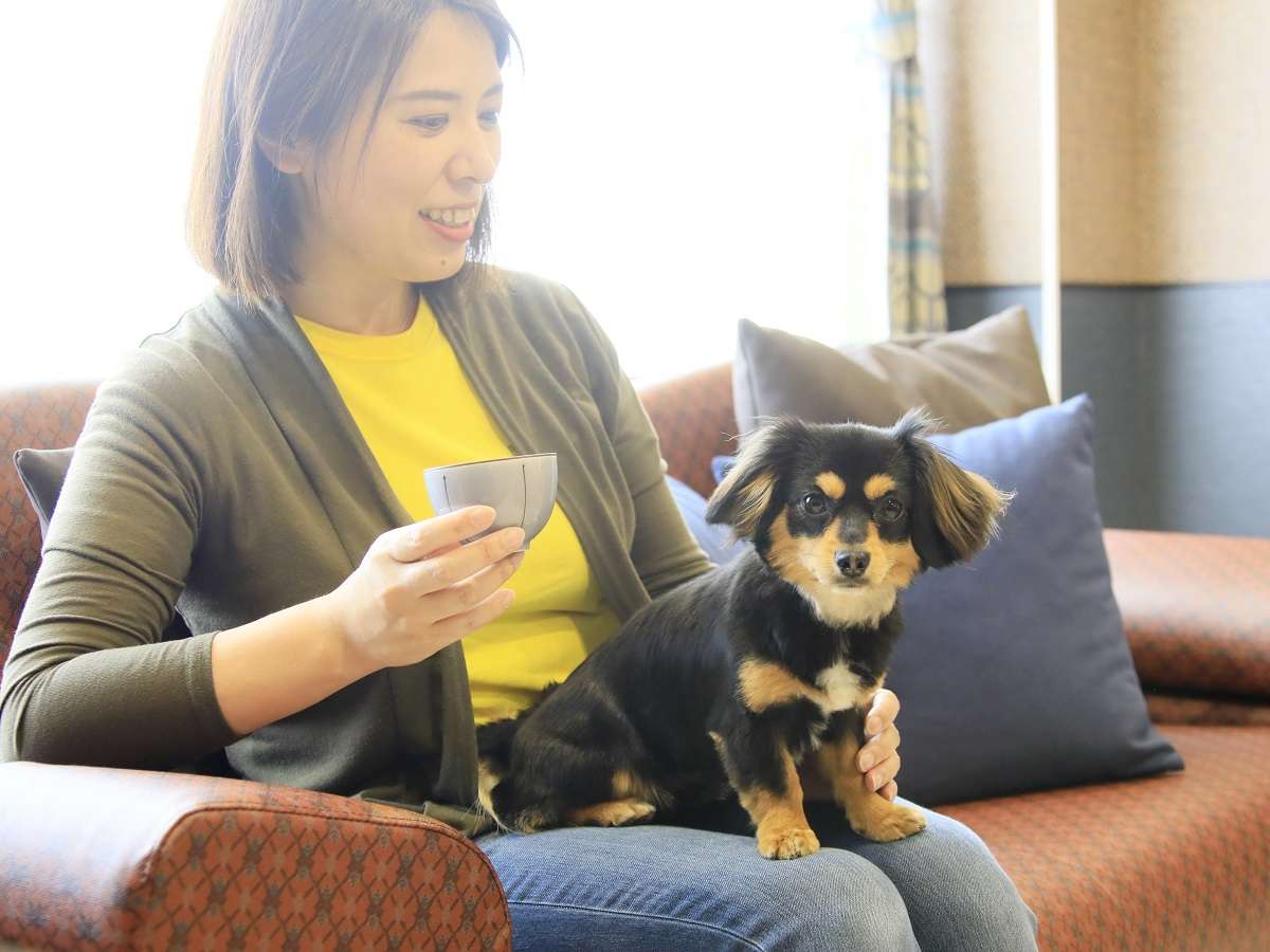 ペット可・スタンダードルーム一例｜お部屋は広々。わんちゃんも人も寛げます♪