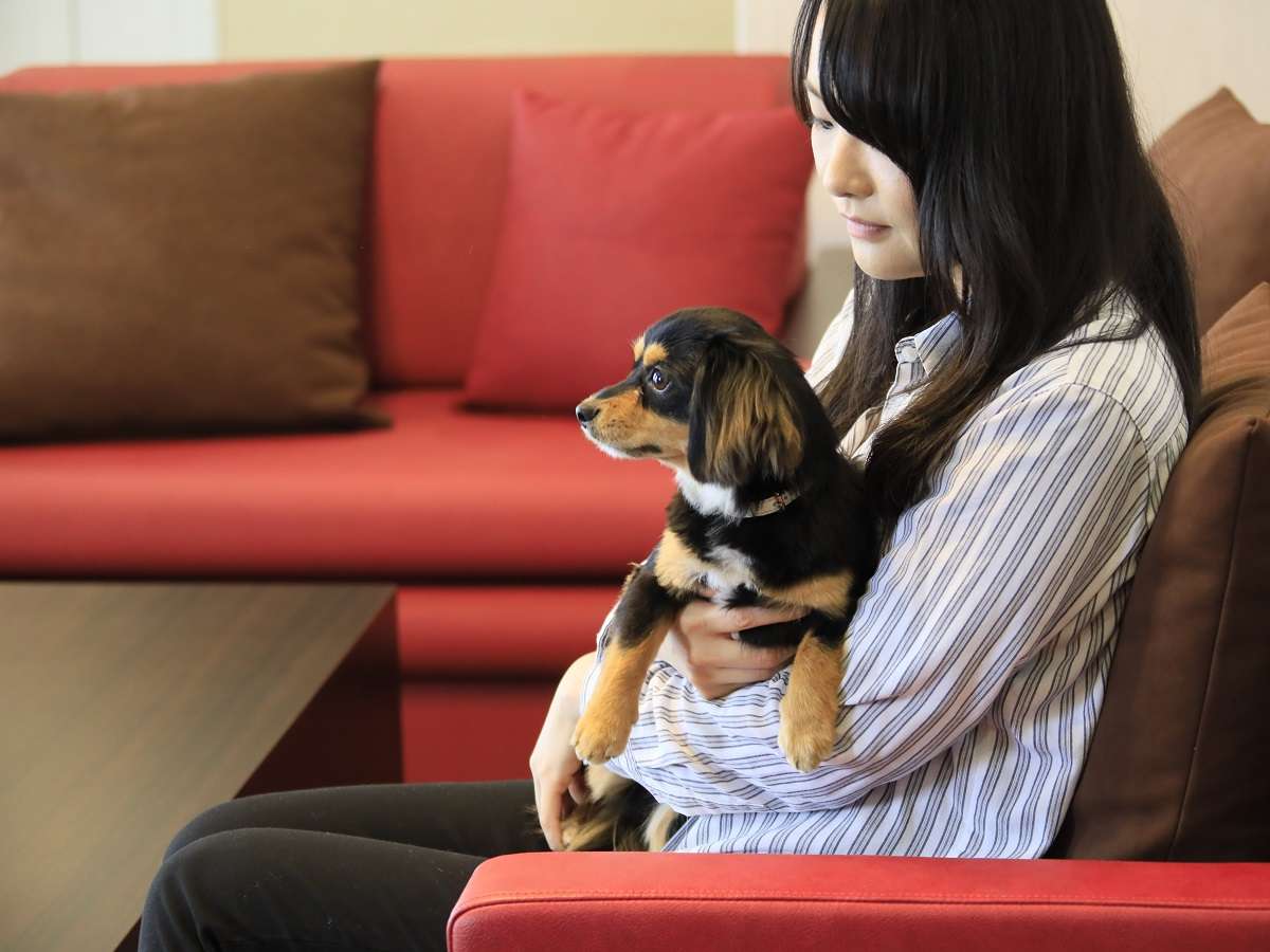 [ペット可・スタンダードルーム]ゆったりソファでのんびりタイムです。