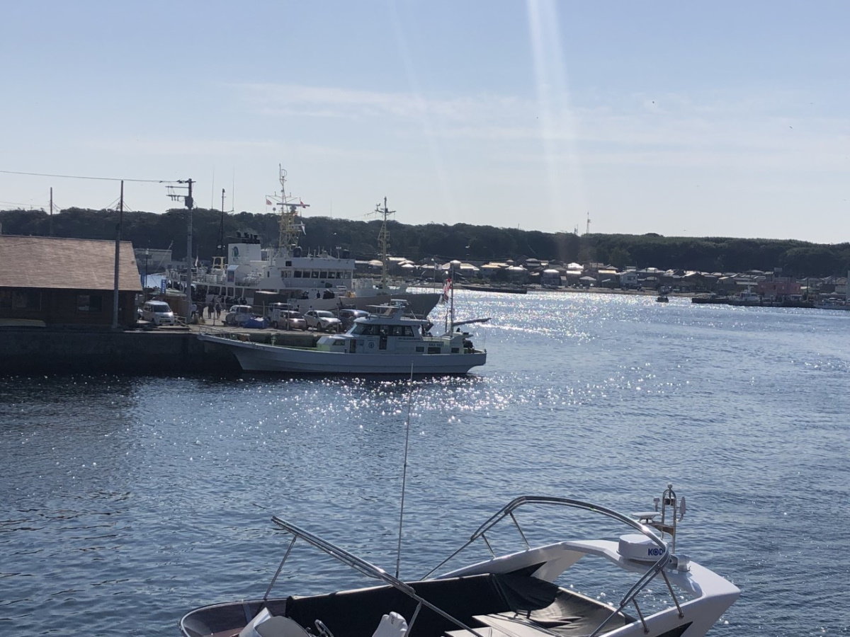 【三崎港】昔から遠洋漁業が栄え、大量のマグロが水揚げされる