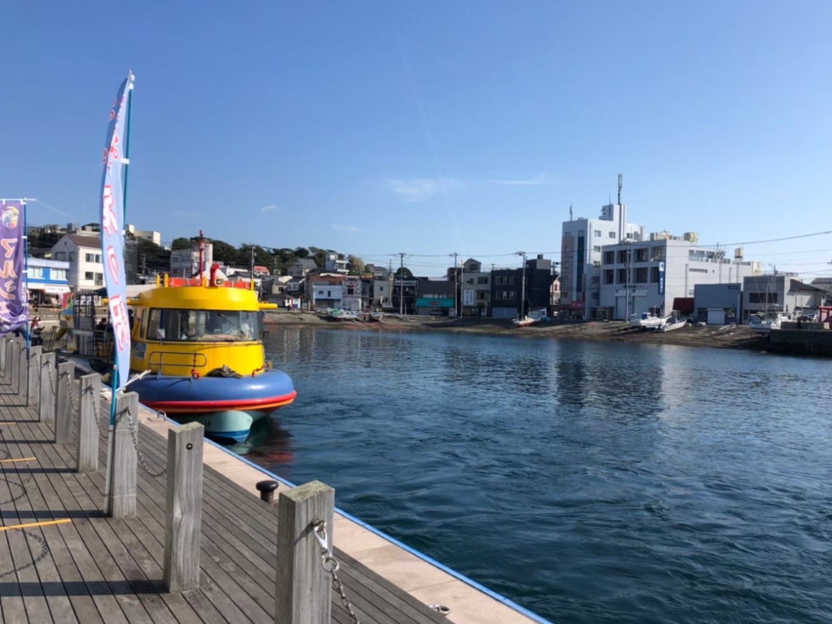 【三崎港】水中観光船の出発地！魚やカモメの餌付けが楽しめます♪