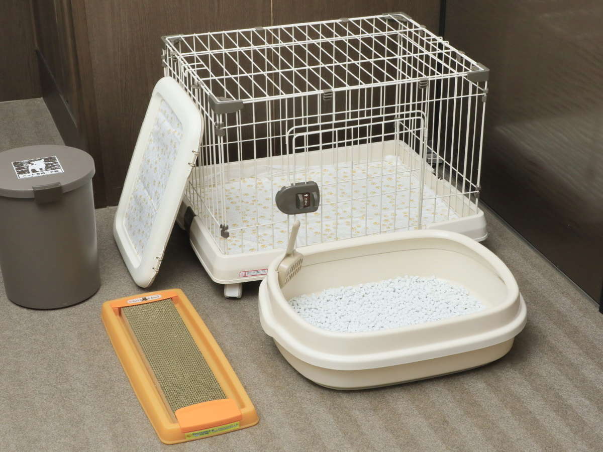 【客室備品】わんちゃんねこちゃん用グッズ完備☆