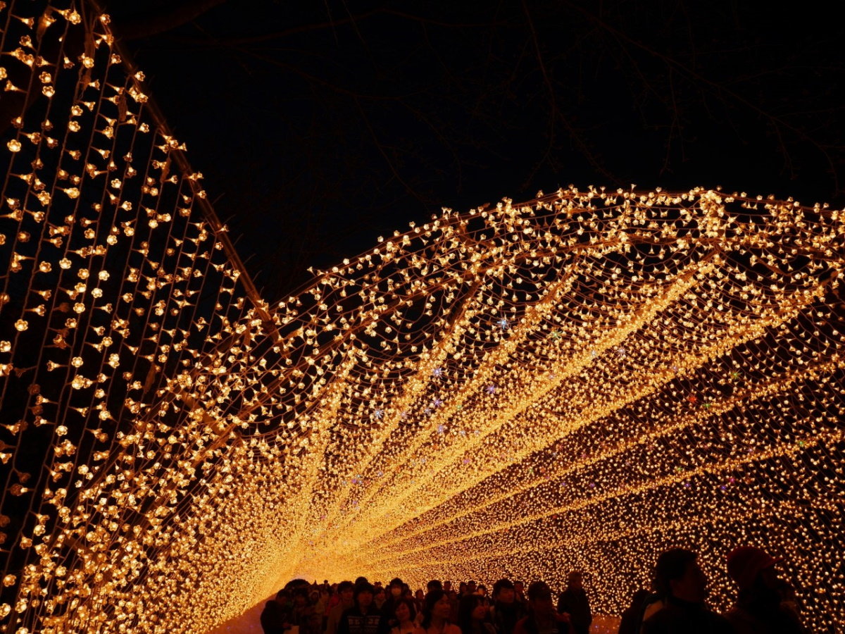 【なばなの里】国内最大級のイルミネーションが楽しめます（当館より車で約30分）