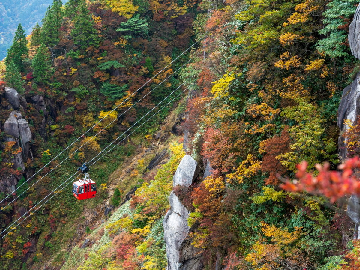【御在所岳の紅葉】10月中旬から山頂～温泉街エリアへと約1ヶ月かけて紅葉の見頃を迎えます。