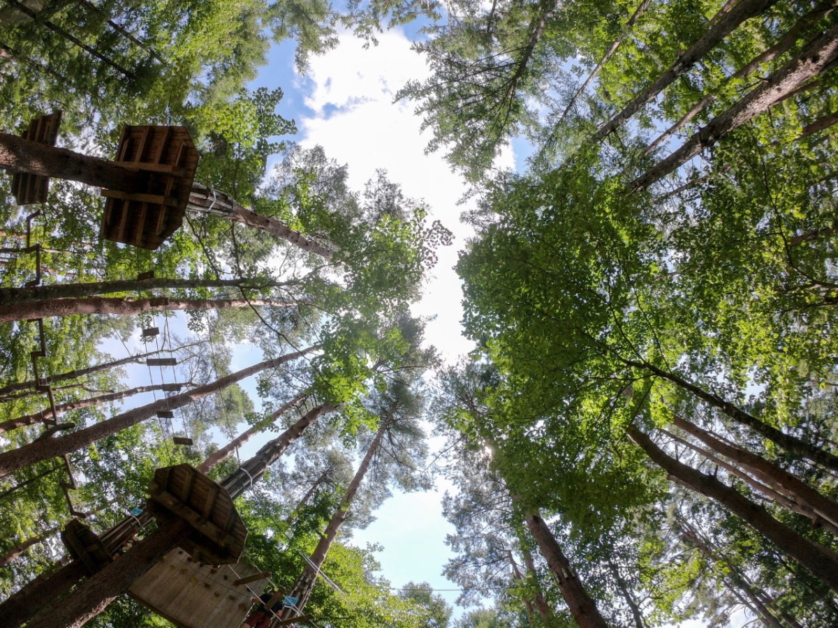 【湯の山フォレストアドベンチャー】身体を動かした後は温泉で身体を癒してください（当館から車で4分）