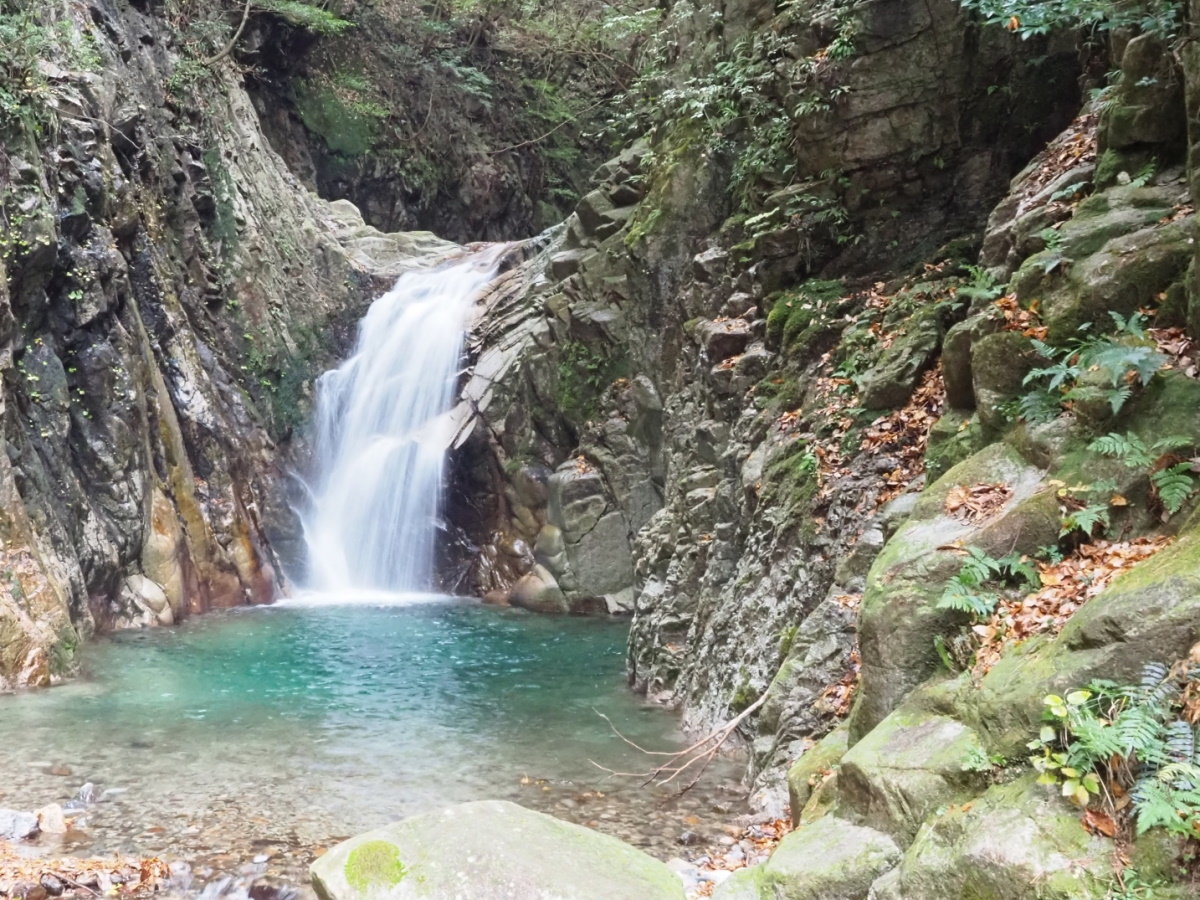 【竜ヶ岳】鈴鹿山脈の中央部に位置する標高1099mの山（当館から車で42分）