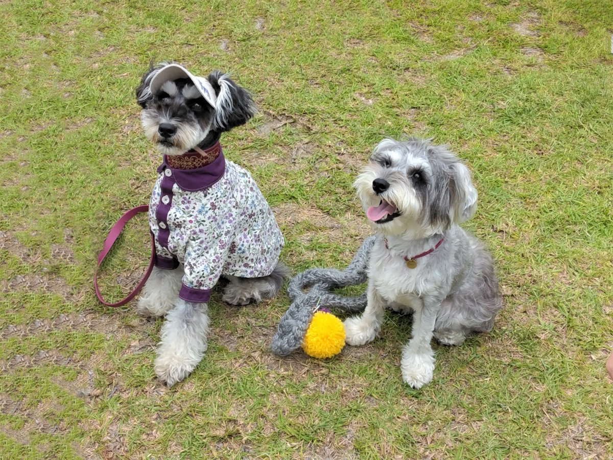 館内にはドッグランもございますのでご自由にご利用くださいませ！