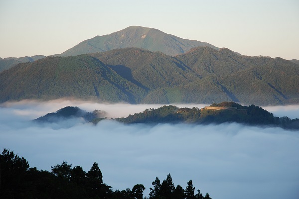 朝霧に浮かぶ津和野城跡