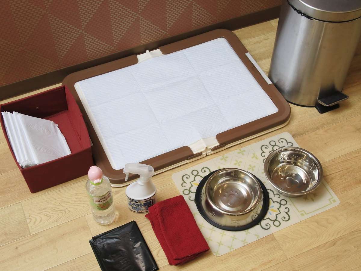 わんちゃん用のアメニティ。全部屋にご用意しております。