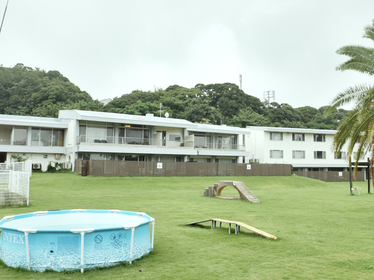 【ドッグラン】夏の間は毎年大好評のプールを設置。わんちゃん達も気持ちよさそうです。