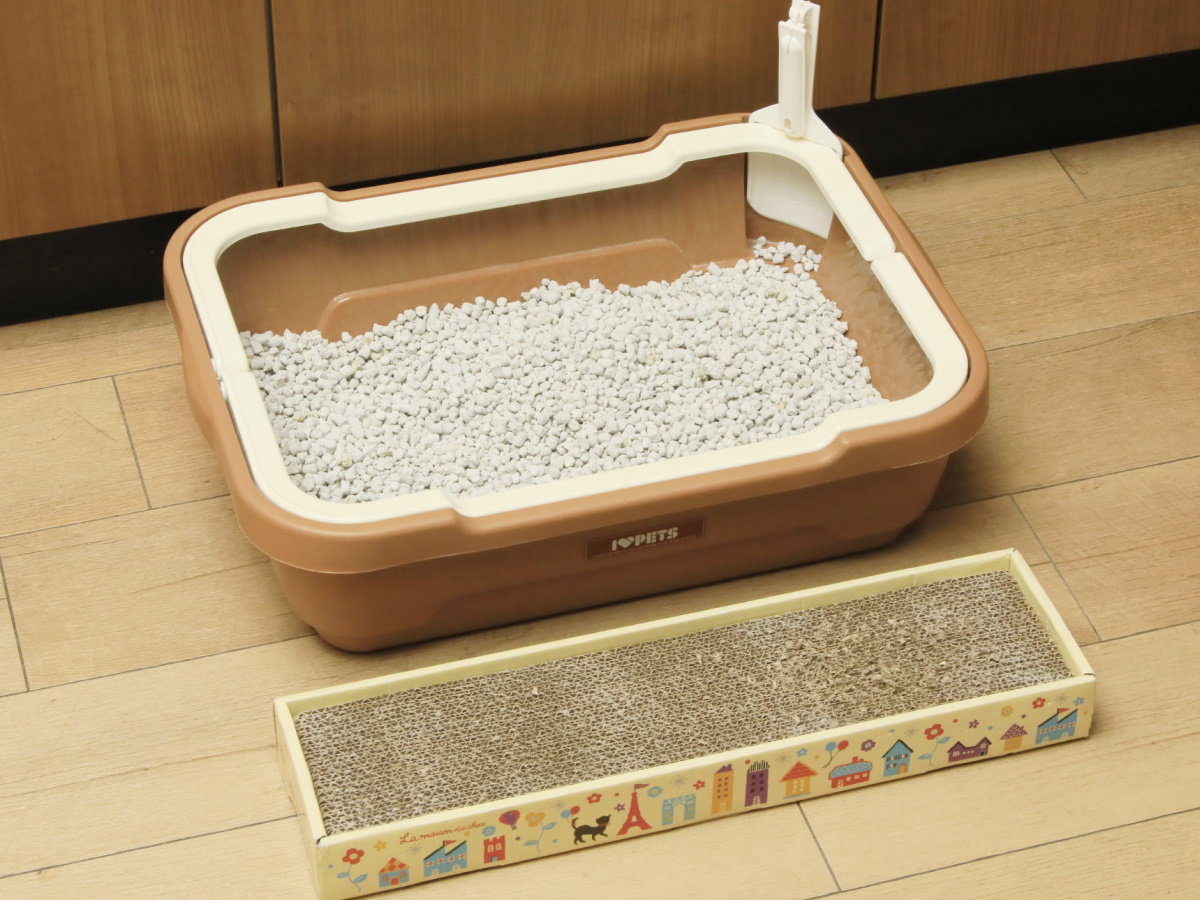 【客室備品】ネコちゃんグッズのご用意もございます。