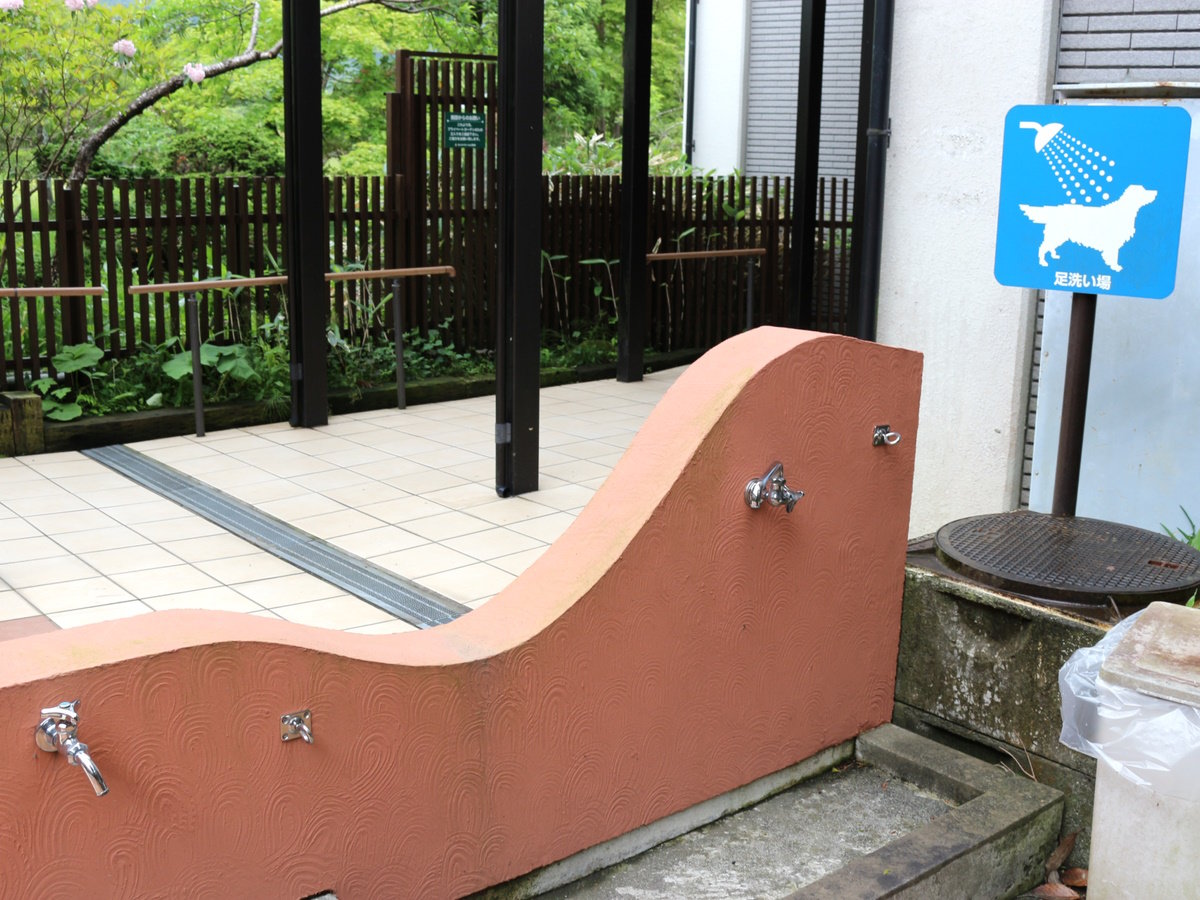【エントランス】わんちゃん用洗い場