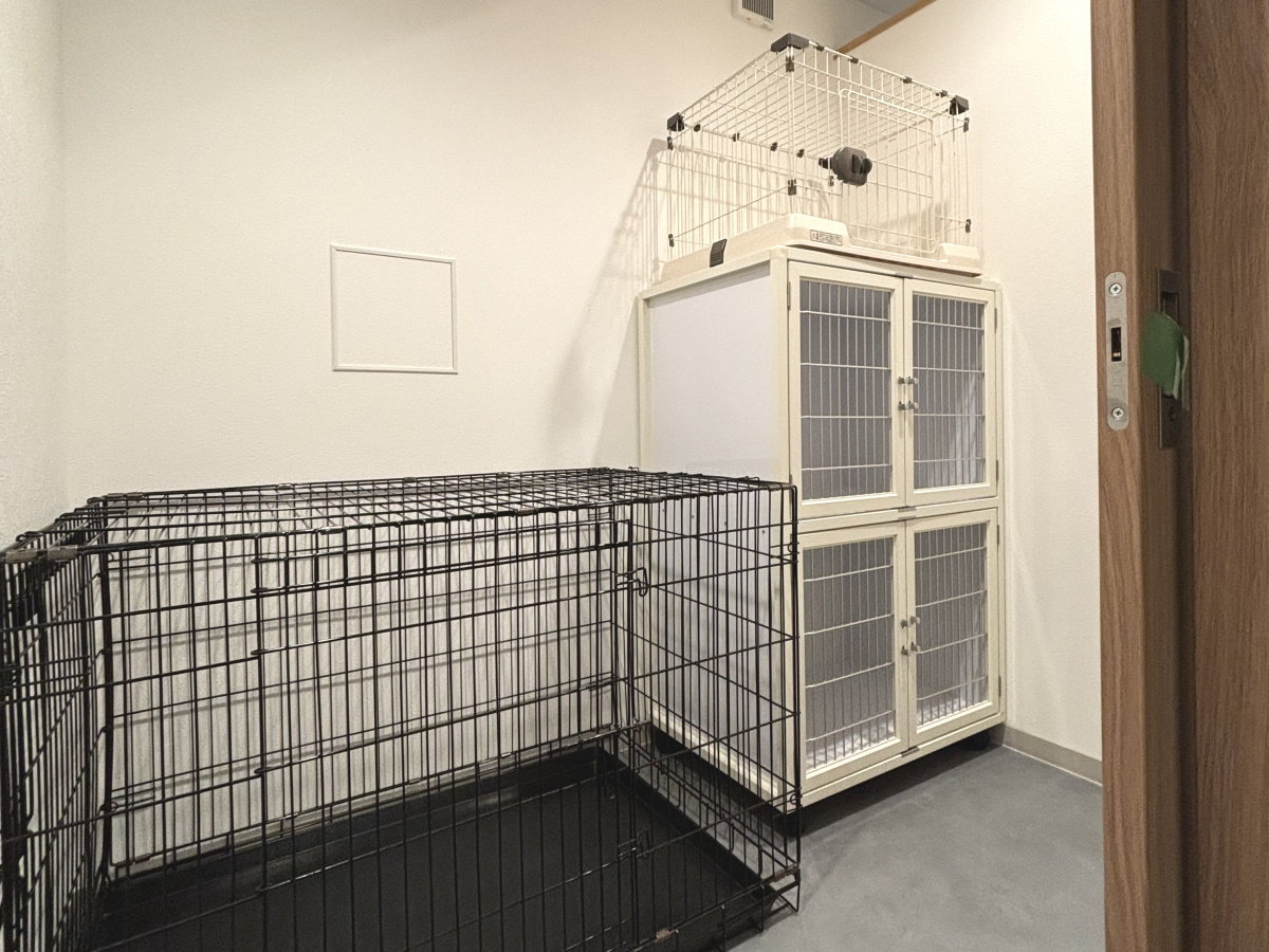 【おるすばんルーム】14 kg以下の小型犬・中型犬でしたらご利用可能！（大型犬は要相談）