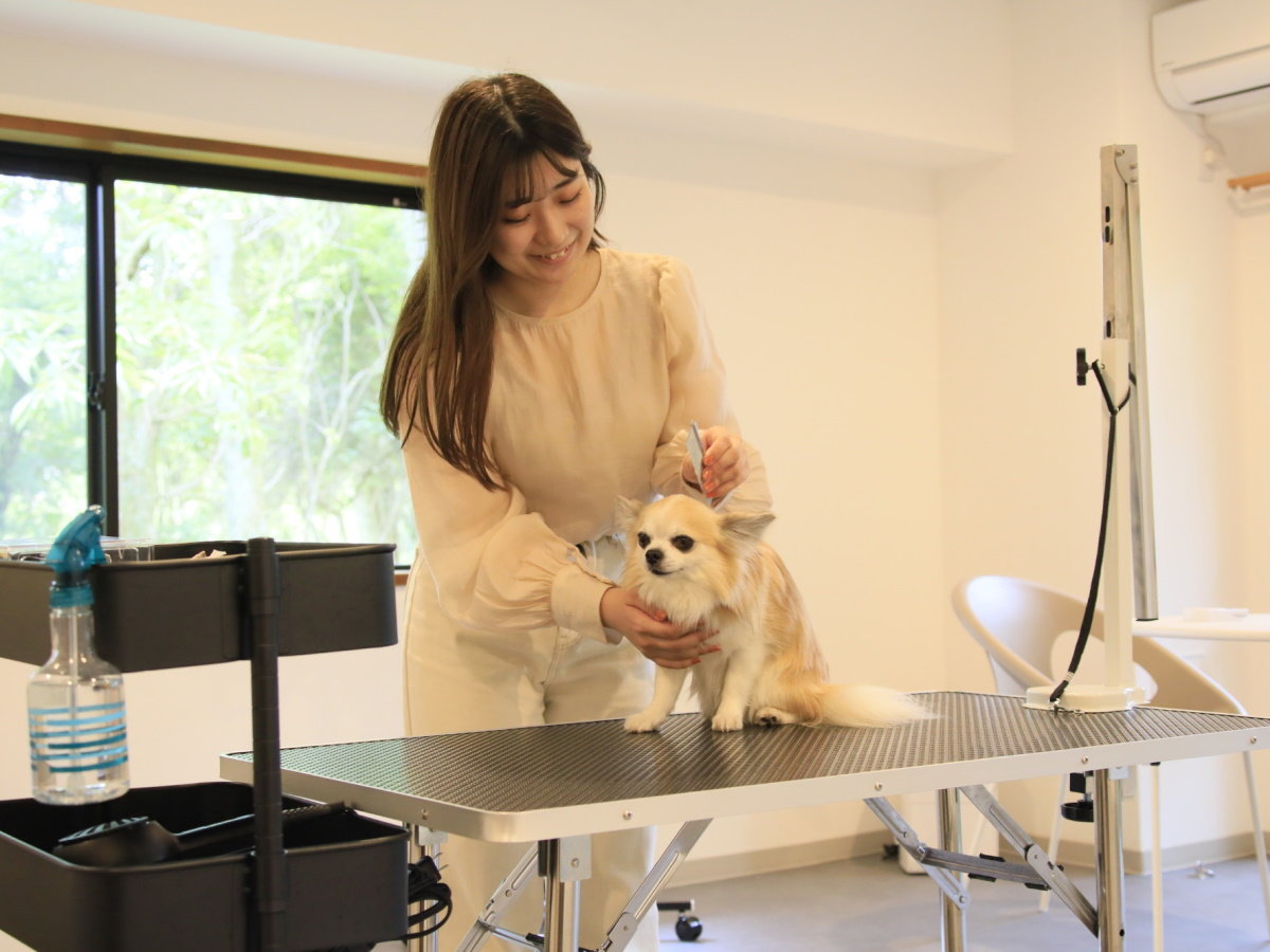 【シャンプー・トリミングルーム】＜有料＞本格的なトリミンググッズで愛犬もリフレッシュ♪