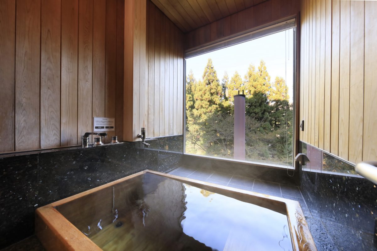 温泉内風呂付き和洋室