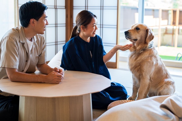 客室イメージ