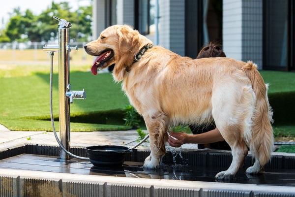 愛犬用足洗い場